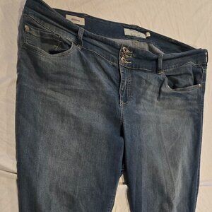 Torrid Light Wash Jeggings